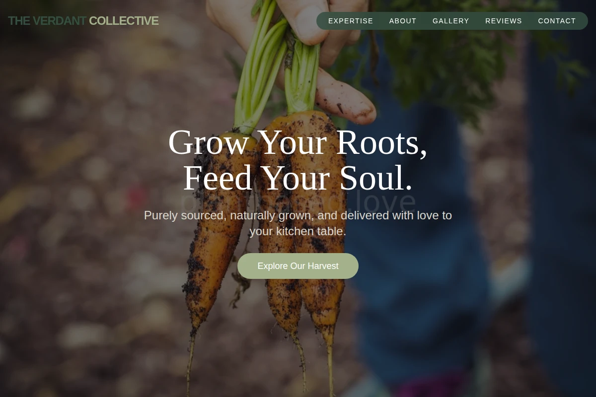 Olive Organic Food