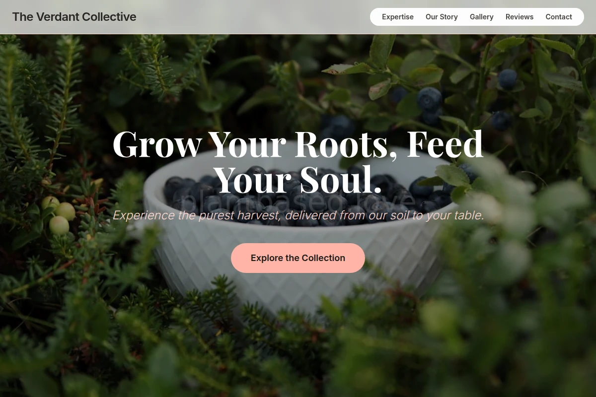 Clover Organic Food