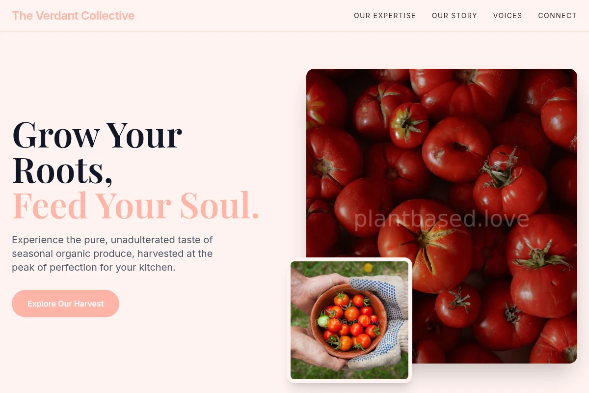 Earthy Organic Food