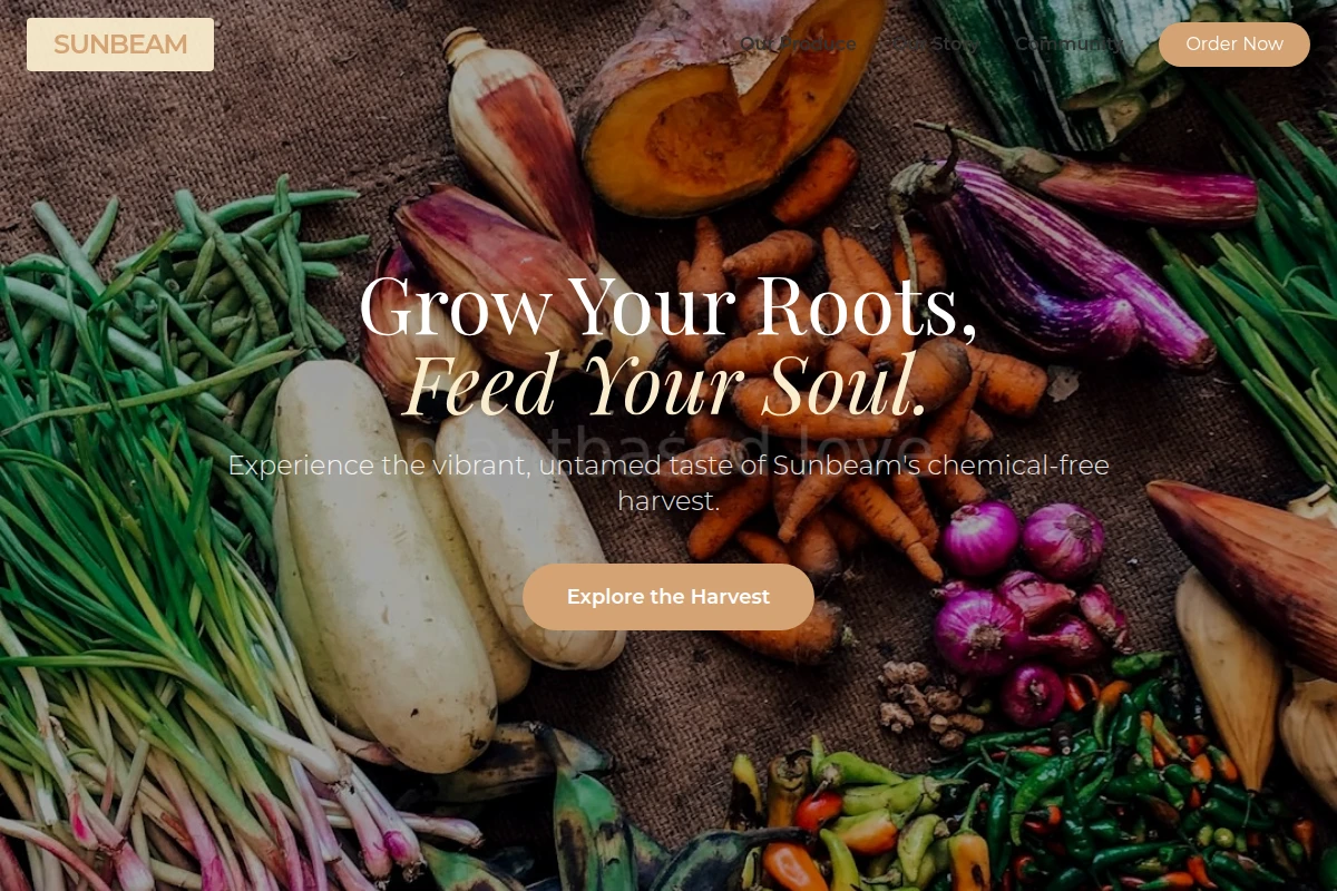 Sunbeam Organic Food